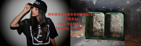 дурь Бронницы