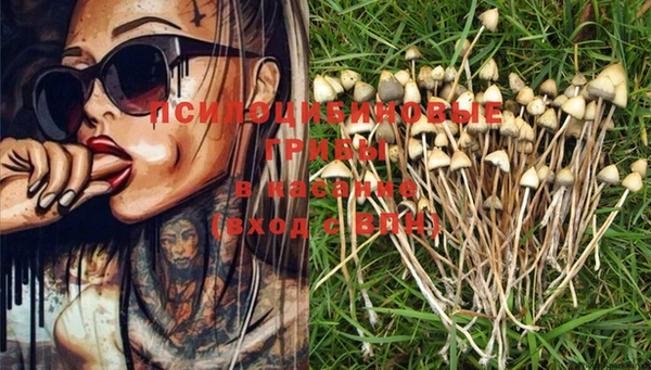 PSILOCYBIN Бугульма