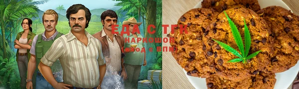 дурь Бронницы